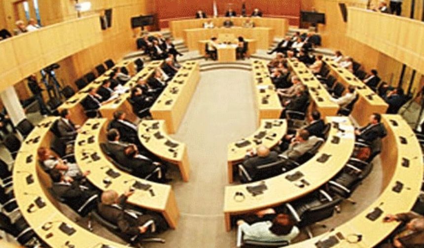 Rum Meclis heyeti Hindistan’da temaslarda bulunacak