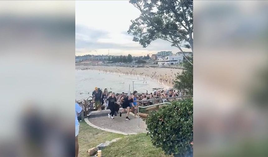 Avustralya'da plajda saldırı: Ölü sayısı 12 oldu