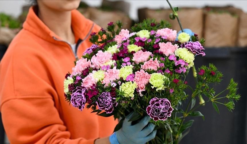 Türkiye'den yılbaşı için 12 milyon dolarlık çiçek ihracatı