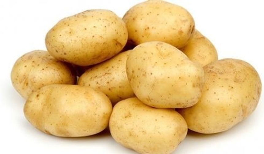 İlkbahar patates beyan alımlarının süresi Pazartesi gününe kadar uzatıldı