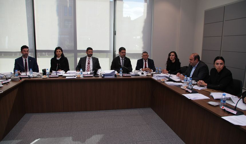 İdari, Kamu ve Sağlık İşleri Komitesi, Bütçe Dairesi ile BRTK yasa tasarılarını görüştü