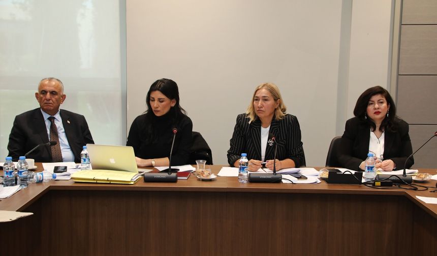 Hukuk, Siyasi İşler, Dışilişkiler ve Savunma Komitesi Ceza (Değişikik) Yasa Tasarısı’nı görüştü