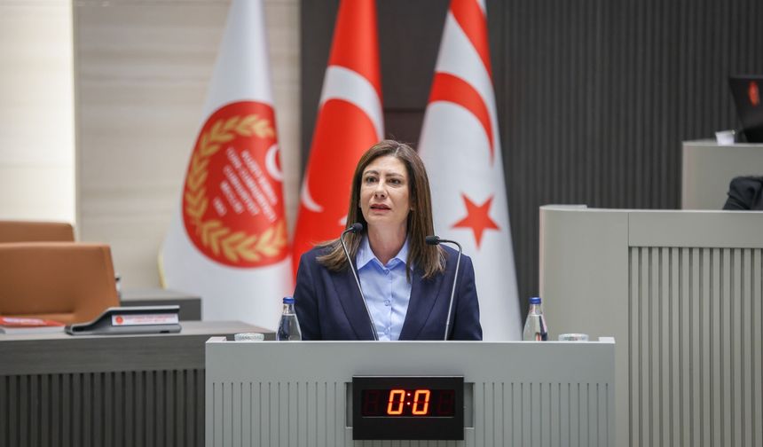 CTP Genel Başkanı Sıla Usar İncirli'nin Meclis'te yaptığı konuşması