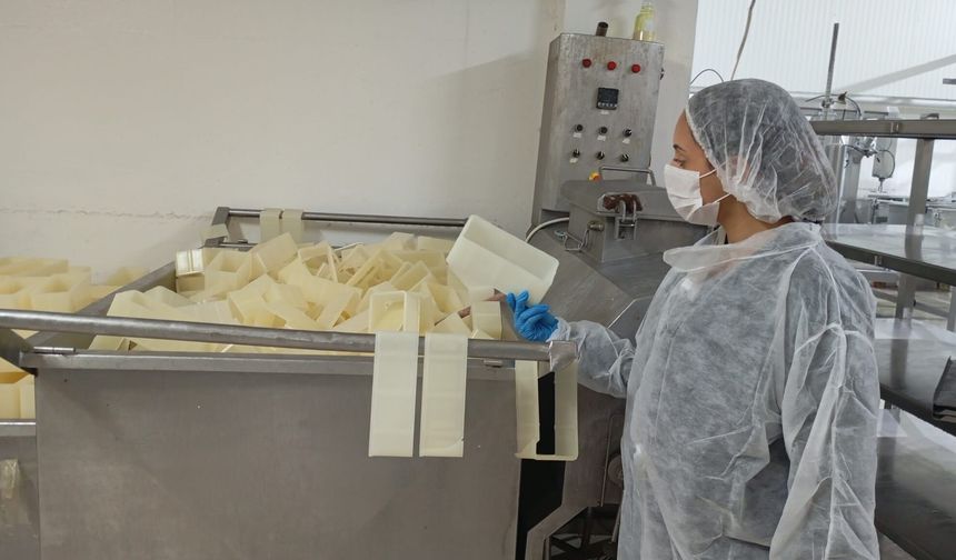 Değirmenlik-Akıncılar Belediyesi'nden gıda denetimi