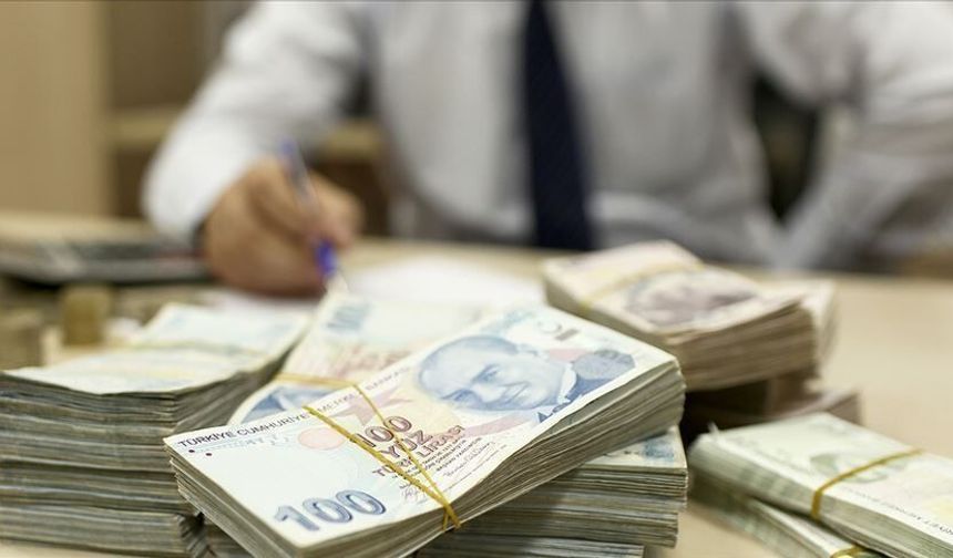 TCMB rezervleri 12 milyar 782 milyon dolar azaldı