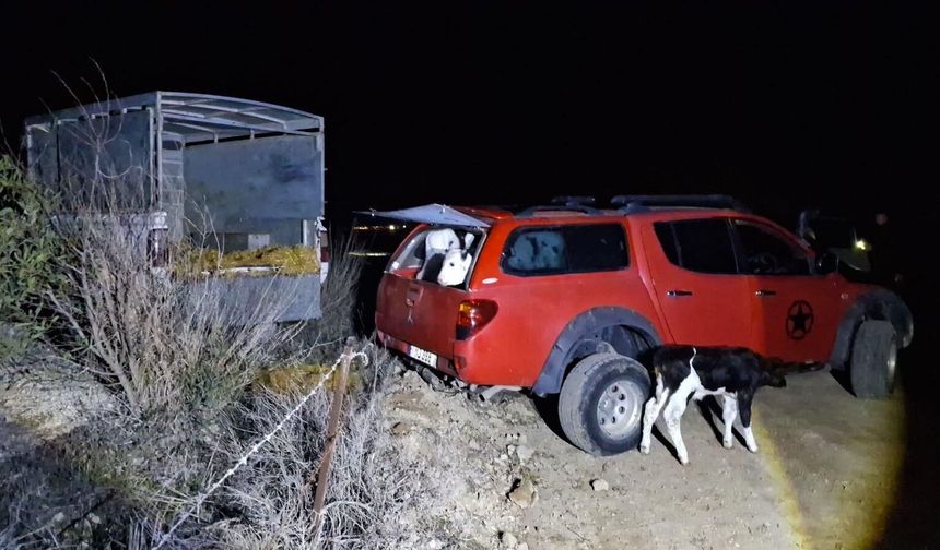 Çavuş: “Şap hastalığı Güneyden yayıldı, suçlamalar sorumluluktan kaçma girişimi”