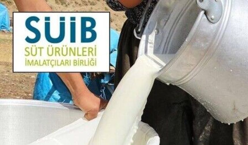 Süt Üreticileri Uyardı: Sektör Çöküşün Eşiğinde