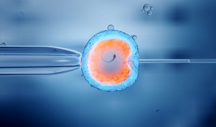 KKTC'den izinsiz embriyo çıkarmaya çalışan İsrail vatandaşı kurye tutuklu yargılanacak