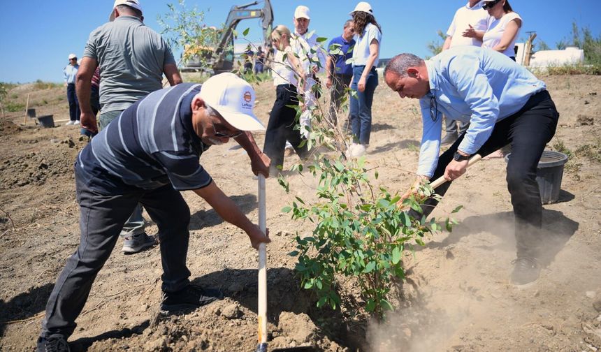 LTB, Haspolat'ta Endüstri Ormanı oluşturacak