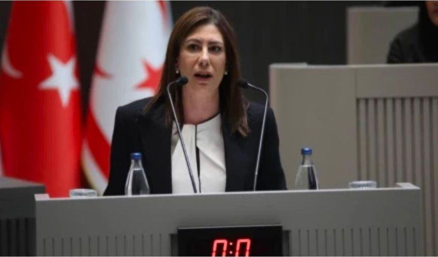 Meclis Genel Kurulu'nda onaya sunuşlar yapıldı: İncirli'den "İç Tüzek'e aykırı" çıkışı