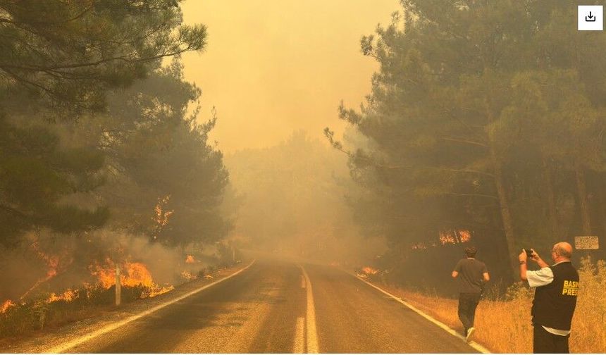 Balıkesir’de orman yangını