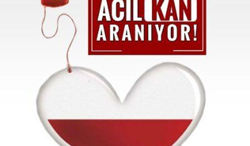 Metropol'de ağır yaralanan kadına kan aranıyor