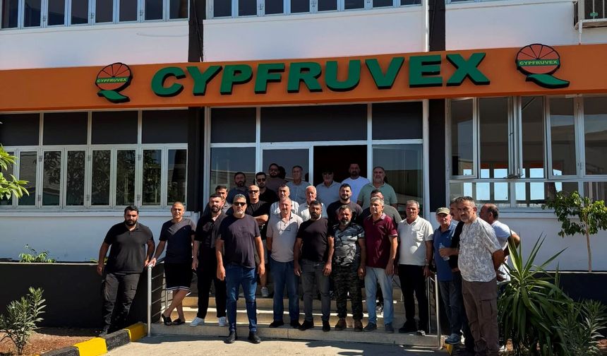 Narenciye Kesim Ekipleri Birliği ödeme talep etti