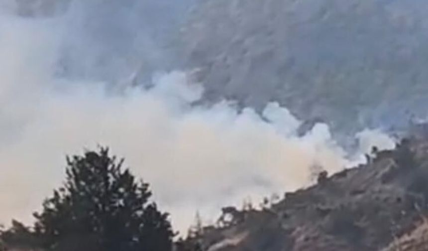 Tirmen’deki yangın kontrol altına alındı