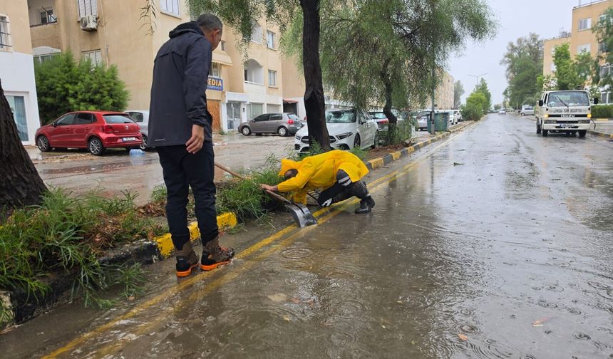 Lefkoşa’da 17 ağaç devrildi