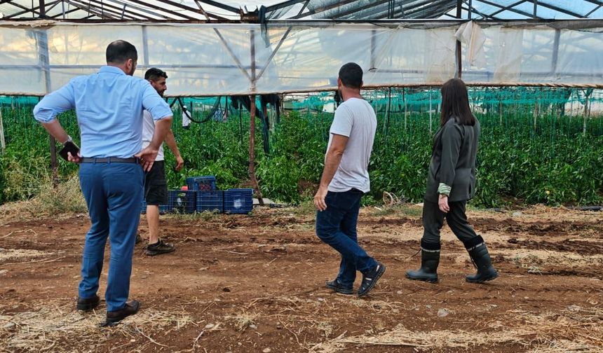 CTP heyeti, sel ve doludan etkilenen Lefke ve Güzelyurt’u ziyaret etti