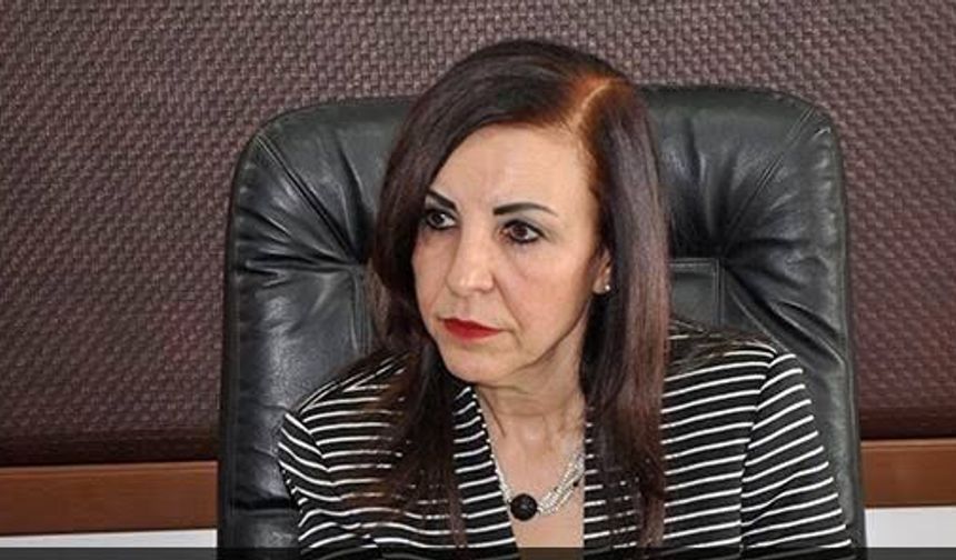Eski Ombudsman Dirdarlı: “Karma Oyun Kaldırılması Anayasa’ya Aykırıdır”