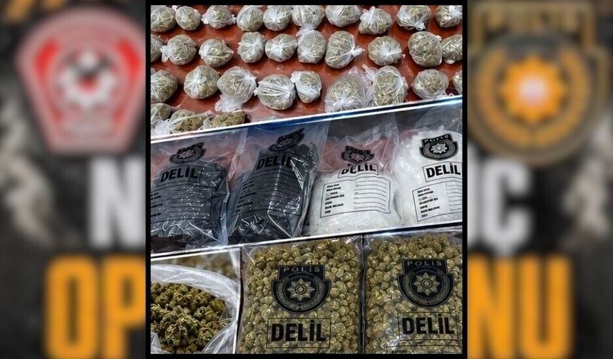 Polis'ten Kurt İni Operasyonu