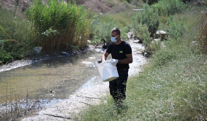 LTB, Batı Nil Virüsü’ne karşı mücadeleyi yoğunlaştırdı