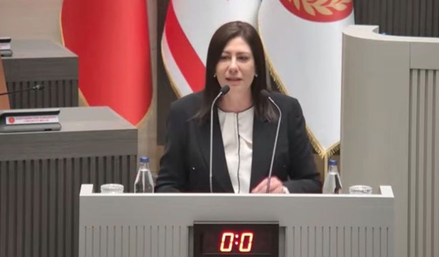İncirli’den karma oy tepkisi: “Seçim ve halkoylaması yasası halkın malıdır”