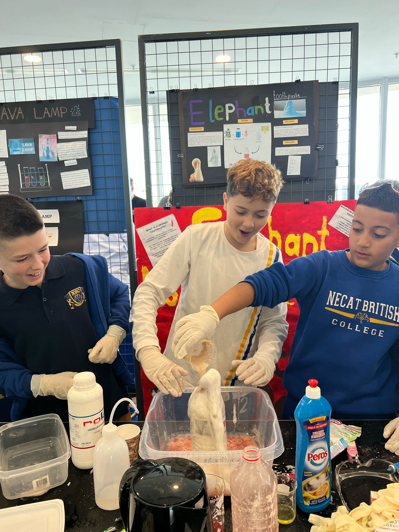 Whatsapp Image 2025 03 07 At 16.13.53 (1)